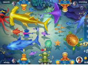 ope体育2024最新版